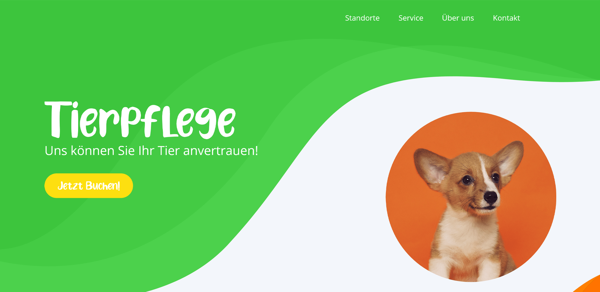Bild einer Tierpflege-Webseite
